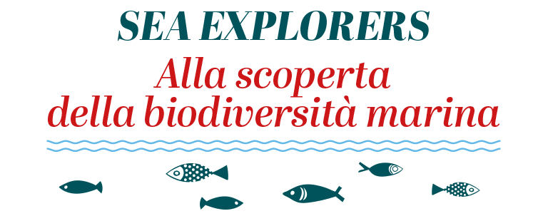 SeaExplorers - Alla scoperta della biodiversità marina